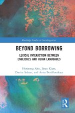 Beyond Borrowing