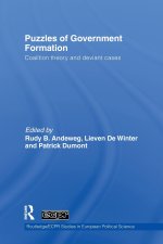 Puzzles of Government Formation