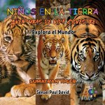 Nin?os en la Tierra Aventuras de vida Silvestre - Explora el Mundo Sumatran Tiger - Indonesia