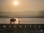 Magnetic