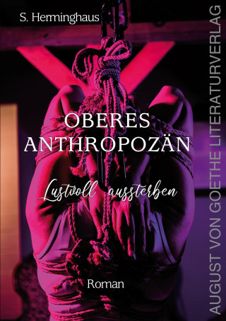 Oberes Anthropozän (Miękka)