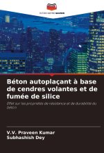 Béton autoplaçant ? base de cendres volantes et de fumée de silice