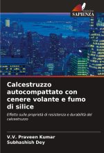 Calcestruzzo autocompattato con cenere volante e fumo di silice