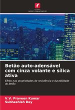 Bet?o auto-adensável com cinza volante e sílica ativa