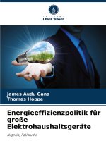 Energieeffizienzpolitik für große Elektrohaushaltsgeräte