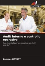 Audit interno e controllo operativo