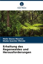 Erhaltung des Regenwaldes und Herausforderungen