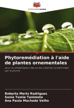 Phytoremédiation ? l'aide de plantes ornementales