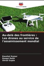 Au-del? des fronti?res : Les drones au service de l'assainissement mondial