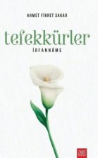 Irfanname