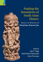 Pushing the Boundaries of South Asian History