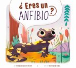 ?Eres Un Anfibio?