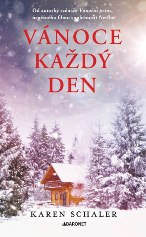 Vďż˝noce kaďż˝dďż˝ den
