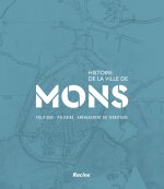 Histoire de la ville de Mons