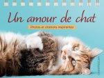 Bonheur des chats (livre chevalet)