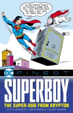 DC FINEST SUPERBOY SUPER DOG FROM KRYPTO