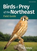 Birds of Prey of the Northeast Field Guide