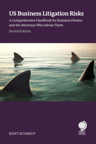 US Business Litigation Risks
