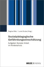 Sozialpädagogische Gefährdungseinschätzung