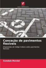 Conceç?o de pavimentos flexíveis