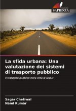 La sfida urbana: Una valutazione dei sistemi di trasporto pubblico