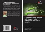 L'infiammazione indotta dall'H.pylori nella patogenesi del cancro gastrico