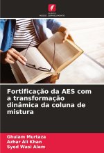 Fortificaç?o da AES com a transformaç?o dinâmica da coluna de mistura
