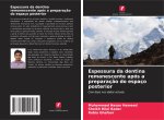 Espessura da dentina remanescente após a preparaç?o do espaço posterior
