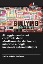 Atteggiamento nei confronti dello sfruttamento del lavoro minorile e degli incidenti automobilistici