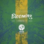 BLOOMING 3