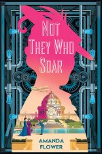 NOT THEY WHO SOAR
