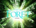 Il était une forêt, l'album du film de Luc Jacquet