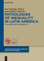 Pathologies of inequality in Latin America