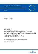 Die Rolle des äußeren Unrechtsgehaltes der Tat bei der Auslegung der 