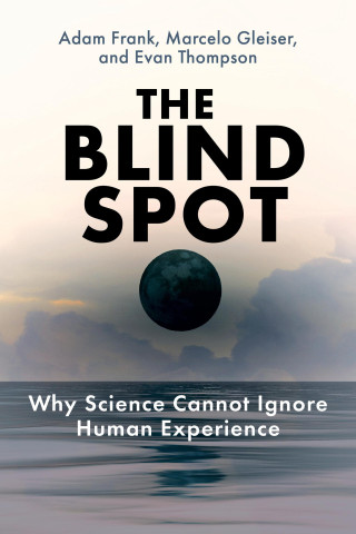 BLIND SPOT