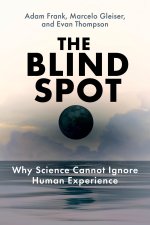 BLIND SPOT