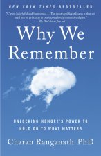 WHY WE REMEMBER