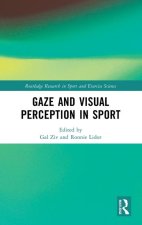 Gaze and Visual Perception in Sport