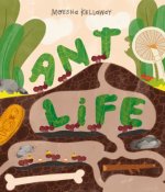 Ant Life