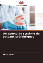 Un aperçu du syst?me de poteaux préfabriqués
