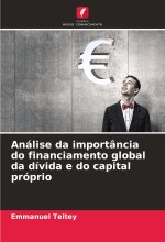 Análise da importância do financiamento global da dívida e do capital próprio