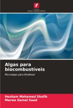 Algas para biocombustíveis