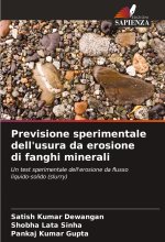 Previsione sperimentale dell'usura da erosione di fanghi minerali