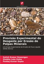Previs?o Experimental do Desgaste por Eros?o de Polpas Minerais