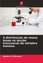 A distribuiç?o da massa óssea na secç?o transversal da vértebra humana