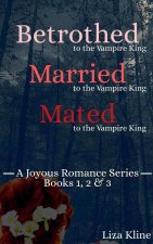 A Joyous Romance Series Bundle (Books 1-3)