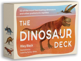 DINOSAUR DECK