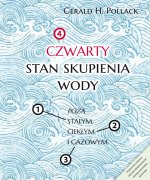 Czwarty stan skupienia wody
