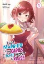 I GOT MARRIED TO THE GIRL I HATE THE V01