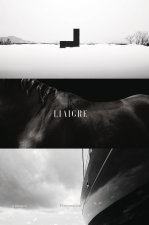 LIAIGRE 12 PROJECTS